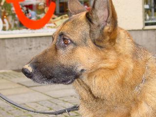 Photo 02703071