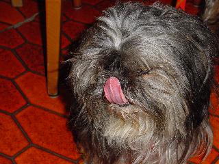 Photo 03301001