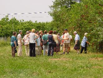 Photo 06002073