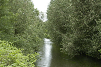 Photo 12213087