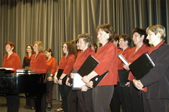 Photo 19812041
